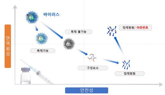 화학연이 개발한 '백신 어쥬번트'의 효능과 안전성